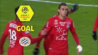 Goal Ellyes SKHIRI (33') / Amiens SC - Montpellier Hérault SC (1-1) / 2017-18