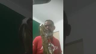 Teste da Dukoff D6 Tenor