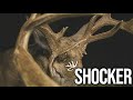 Wes' Backyard GIANT in Missouri! - 