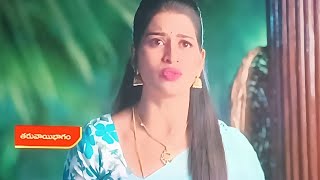 Illu Illalu Pillalu latest serial promo