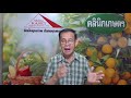 ep37 คลินิกเกษตร ทำไมพริกไม่ดกเมื่อตอนซื้อมา