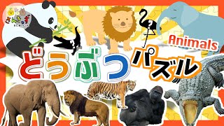 【子供向け 動物アニメ】どうぶつパズルに挑戦しよう★動物園で人気のパンダ コアラ ライオンなど12種が大集合！【子供が喜ぶ動物の知育動画】