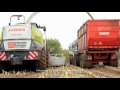 modderen in de mais harvesting maize in mud bmww claas jaguar 940 mais hakselen kukurydza