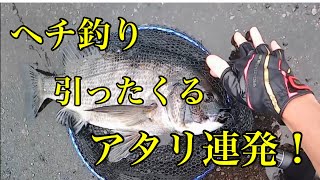 ヘチ釣り引ったくるアタリ連発！