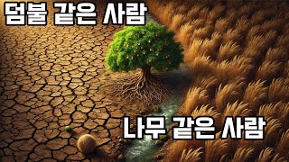 덤불 같은 사람 나무 같은 사람