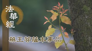 【靜思妙蓮華】 法華經 藥王菩薩本事品 - 勸令攝靜 一心正念 - 第1836集 20241225