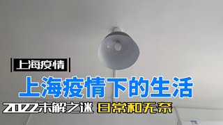 上海疫情：居家隔离丨今天你过的怎样丨vlog丨闲聊