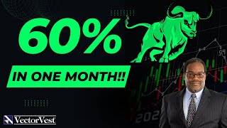 60% Increase in 1 Month?! What's in This Portfolio? | VectorVest