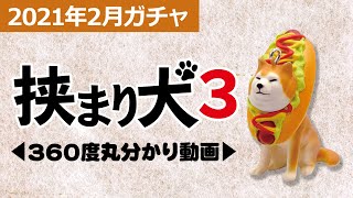 【Qualia・2021年2月商品】「挟まり犬3」