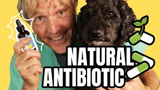 Natural Antibiotics to PREVENT and TREAT Infection