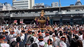 令和７年湯島天満宮梅祭り　神輿渡御【担ぎ出し発進】