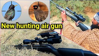 birds hunting with airgun | starling hunting | air gun hunting |Air rifle hunting  2025