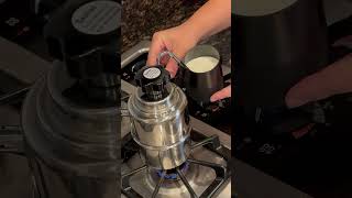 Bellman stove top milk steamer