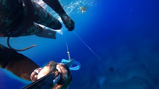 Spearfishing Stingray | catch and filleting