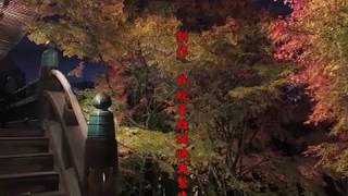 映像詩「山冷えの錦秋」 御嶽山 播州清水寺の紅葉 2019年11月20日