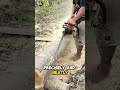 How to cut wood by hand #shorts