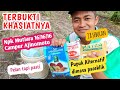 CARA MEMUPUK YANG IRIT| PUPUK SAWIT BAGUS UNTUK BUAH|| NPK mutiara 161616 @ahejaku