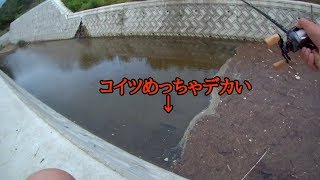 ゴミ溜まりから出てくるバスがやたらとデカい