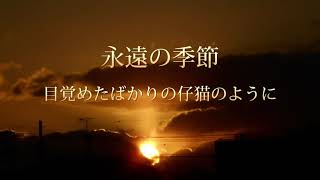 音楽　詩　音楽詩集　目覚めたばかりの仔猫のように