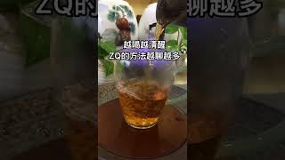 萬丈紅塵壹杯酒，千秋大業壹壺茶！wechat：zcj049 #普洱茶 #茶文化 #茶番 #茶トラ #茶知识