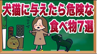 犬猫に与えてはいけない食べ物7選【獣医師解説】