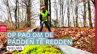 Padden niet meer van het padje door paddenredders \u0026 motorrijles op de VAM-Berg | RTV Drenthe