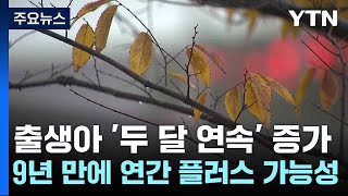 [날씨] 가을 실종?  호우 이어 태풍급 돌풍...오늘은 기온 뚝 / YTN