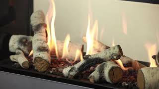 Valor L1 See-Thru Gas Fireplace | Birch Logs