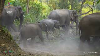 Web of Life: The Environment and Interconnectedness