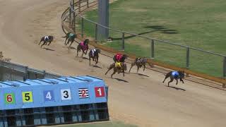 Gawler-13122019-Race-8