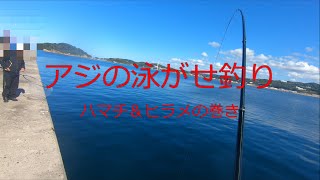 ハマチ＆ヒラメの巻き（島根県浜田港西沖波止）