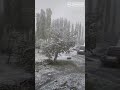 Ўзбекистон. Кун видеоси🎥🌨️ Қашқадарёнинг Китоб туманида қор. Тасвирлар шу соатларда олинган