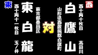 大相撲一月場所二日目　白鷹山（2025-01-13）