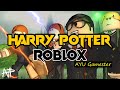 Harry Potter Roblox | AYU Gamester