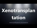 Xenotransplantation - Medical Definition and Pronunciation