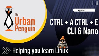 Use Bash Shortcuts For A Quick And Easy Cli And Nano Experience!