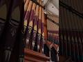 Bells in a Pipe Organ?! These are incredible!! #organ #music #church