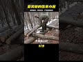 最精致的雪景小屋 荒野建造 野外生存 戶外露營