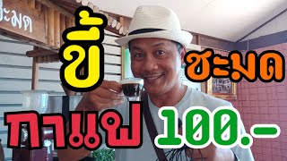 กาแฟขี้ชะมด 100 บาท กินแล้วคุ้มจริงหรือ? | ป้อมซังเกษตรสร้างชีวิต