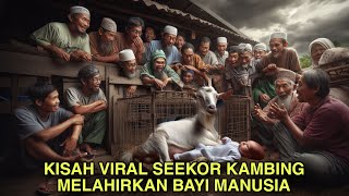 Kisah Viral Seekor Kambing Melahirkan Bayi Manusia