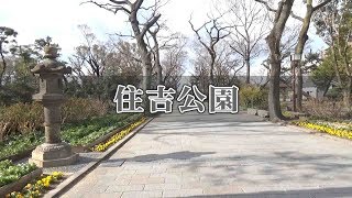 住吉公園 無料BBQエリアを動画でご紹介!!