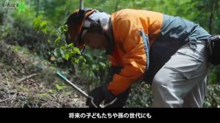 【い･ろ･は･す】 い･ろ･は･すの水源 山梨県北杜市 I LOHAS