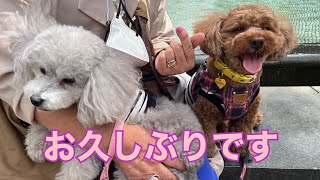 【#vlog 】お久しぶりです♪