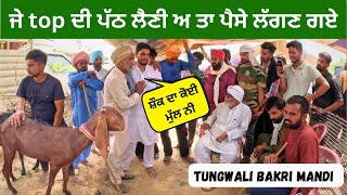 ਚੰਗੀ ਚੀਜ਼ ਤੇ ਤਾਂ ਪੈਸੇ ਲੱਗ ਦੇ ਅ #live_sauda Tungwali bakri Mandi