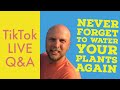 Start to Finish making a Self Watering Container - TikTok Live Q&A - Self Wicking Container