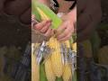 creative idea to make super fast corn peeler 🌱🌽🌽 #corn #harvest #farming #agriculture #shorts