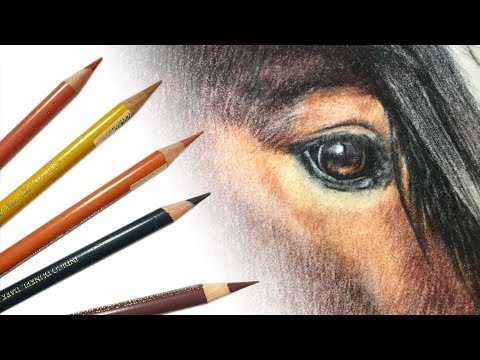 Drawing a horse's eye with coloured pencil - with commentary Drawing a horse's eye with coloured pencil - with commentary