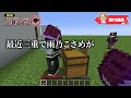 【マイクラ】シンプルに有罪です。