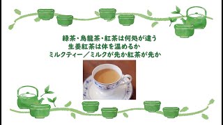 【144話】緑茶・ウーロン茶・紅茶の違い／生姜紅茶は体を温めるか／ミルクティーはミルクが先か紅茶が先か【寄り道・脱線 生薬雑話】