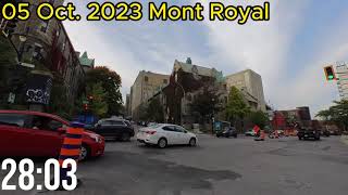 Montreal hiking: Mont Royal, 30 Minutes Workout on 05 Oct. 2023 (Treadmill Virtual Scenery)